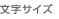 文字サイズ